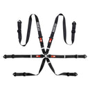 Sparco Competition H2 6-Point Harness