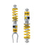 Ohlins 16-20 Lamborghini Huracan TTX-PRO Coilover System