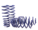 H&R Sport Lowering Springs - 2007-2013 BMW X5 (E70) – Without Self-Leveling/Including Diesel