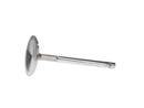 Manley Chevrolet LS - 1 Small Block 2.055 Pro Flo Severe Duty Exhaust Valves (Set of 8)