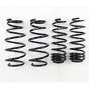 RS-R Down Sus Lowering Springs – 2009-2013 Honda Fit (GE8)