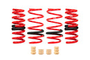 Eibach Sportline EV Lowering Springs – 2021-2026 Ford Mustang Mach-E