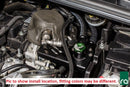 Radium Engineering Catch Can Kit – 2015–2018 Ford Focus ST CCV Fluid Lock – Image 2