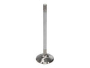Manley Ford 6.2L 42mm Diameter 5.356in Overall Length Race Master Exhaust Valves (Set of 8)