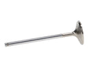 Manley 92 - 00 Acura Integra / 99 - 00 Honda Civic 16 Valve 33.0mm Race Flo F/F Intake Valve (SINGLE)