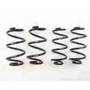 RS-R Ti2000 Down Lowering Springs – 2009-2014 Audi A4 4WD 2.0 T