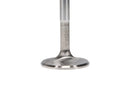 Manley Buick V6intake Valves