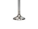 Manley Ford 6.2L 42mm Diameter 5.356in Overall Length Race Master Exhaust Valves (Set of 8)