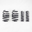 RS-R Down Sus Lowering Springs – 2023+ Lexus RX350 AWD (RX350)