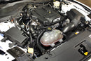 HPS Performance Silicone Radiator and Heater Hoses – 2015-2019 Ford Mustang