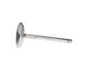 Manley Chevrolet Big Block Intake Valves