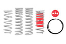 Eibach Drag-Launch Spring Kit – 1979-2004 Ford Mustang