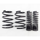 RS-R Down Sus Lowering Springs – 2008-2015 Mitsubishi Evolution X (CZ4A)