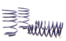 H&R Race Lowering Springs - 2007-2011 BMW 328i Sedan/335i Sedan (E90)