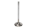 Manley 92 - 00 Acura Integra / 99 - 00 Honda Civic 16 Valve 33.0mm Race Flo F/F Intake Valves (Set of 8)