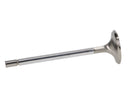 Manley Ford 4.6L Modular V8 Exhaust Valves