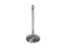 Manley Chrysler 340intake Valves