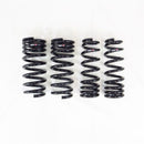 RS-R Down Sus Lowering Springs – 2022+ Lexus IS500 (IS500)