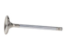 Manley Ford 289 Exhaust Valves