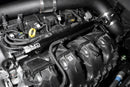 Radium Engineering Port Injection Kit – Ford Focus ST / Focus RS – Image 4