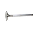 Manley Volkswagen 1.2L Type I Exhaust Valves