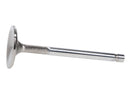 Manley Buick V6intake Valves