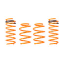 ARK Performance GT-F Lowering Springs - 11-16 Hyundai Elantra