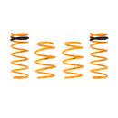 ARK Performance GT-F Lowering Springs - 12-18 Hyundai Veloster