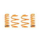 ARK Performance GT-F Lowering Springs - 11-13 Kia Optima