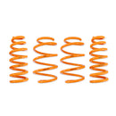 ARK Performance GT-F Lowering Springs - 2022+ Kia EV6 AWD / Hyundai IONIQ 5 AWD
