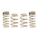 ARK Performance GT-S Lowering Springs - 12-18 Hyundai Veloster