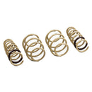 ARK Performance GT-S Lowering Springs - 21-22 Kia K5 (DL3) 1.6L