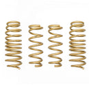 ARK Performance GT-S Lowering Springs - 17-21 Infiniti Q60 3.0T RWD
