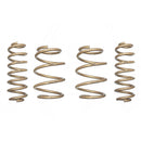 ARK Performance GT-S Lowering Springs - 17-18 Toyota C-HR