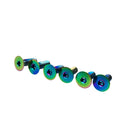 EVS Tuning Titanium Steering Wheel Screw Set - Neon
