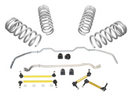 Whiteline Stage 1 Grip Series Kit - 17+ Tesla Model 3 AWD