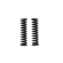 Hybrid Racing Heavy-Duty Transmission Detent Springs (Black / Pack of 2) - Honda Civic / Civic Si / Civic Type R 16-21