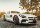 AeroLuxe 16-19 Mercedes Benz C190 AMG GT/GTS Spec-AL Carbon Fiber Full Kit