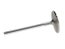 Manley Chevrolet Small Block Intake Valves