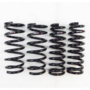 RS-R Down Sus Lowering Springs – 2013-2015 Lexus GS350 RWD F-Sport / GS350 RWD (GS350/GRL10)
