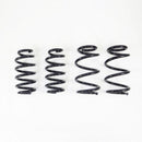 RS-R Ti2000 Down Lowering Springs – 2017+ TESLA Model 3 RWD