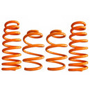 ARK Performance GT-F Lowering Springs - 11-16 Honda CR-Z