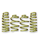 ARK Performance GT-S Lowering Springs - 06-13 Lexus GS350