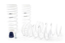 H&R Race Lowering Springs - 1994-1995 Ford Mustang/Mustang Cobra V8 Super