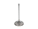 Manley up to 2010 Dodge Viper V - 10 2.020 Diameter Race Master Intake Valves (Set of 10)