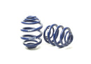 H&R Sport Lowering Springs - 1994-2003 Volkswagen Eurovan (T4)