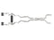 aFe MACH Force-Xp Cat-Back Exhaust w/ Carbon Fiber Tip -23-25 BMW M2 L6-3.0L (G87)