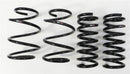 RS-R Down Sus Lowering Springs – 2011-2016 Nissan Quest (PE52)