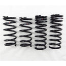 RS-R Down Sus Lowering Springs – 2005-2013 Lexus IS250/350 RWD (IS250/GSE20/GSE21)