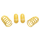 ST Suspensions Lowering Springs – 2005–2014 Ford Mustang 5th gen.